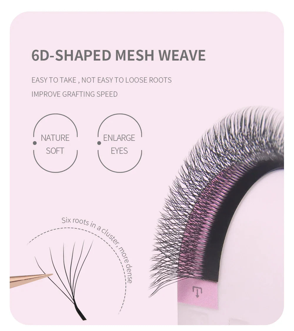 ANNAFRIS W Shape 6D Volume Eyelash Extension False Mink Soft Natural Premade Fans Lash 6D W Shaped Easy Faning Eyelashes