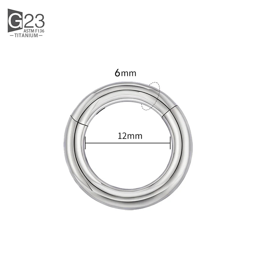 ASTM F136 Titanium PIERC Hinged Segment Hoop Earrings Large size Nose Rings 10G-6G 2.5mm-4mm Seamless Labret Lip Body Piercing