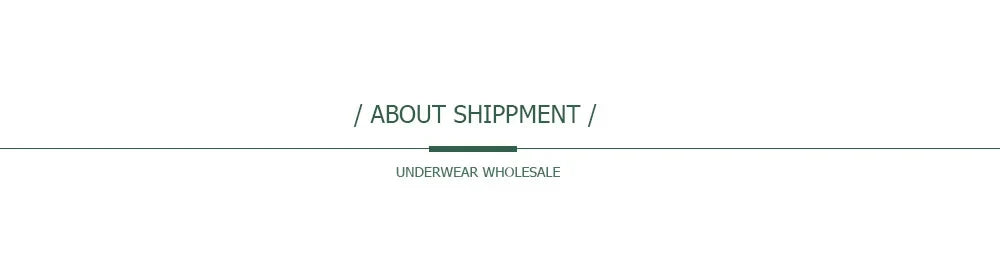 5 PCS/Set Mesh Briefs M-2XL Lace Panties Sexy Transparent Underwear Low Rise Panties Girls Intimates Lingeri