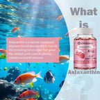 Astaxanthin - Supports Eyes, Promotes Nervous System Health, and Improves Immunity, Non-GMO Supplement