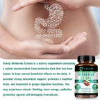 Berberine Extract - Supports Digestive System, Antioxidant, Enhances Cognitive Processes