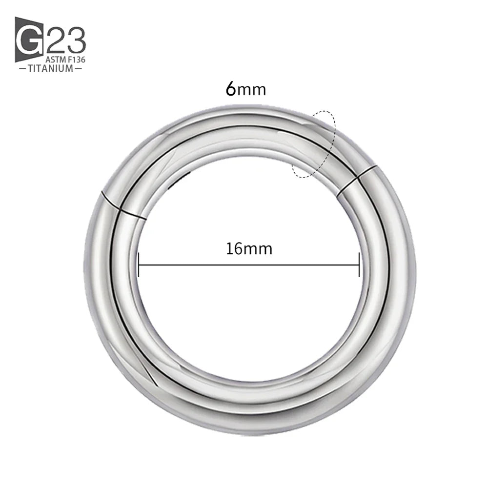 ASTM F136 Titanium PIERC Hinged Segment Hoop Earrings Large size Nose Rings 10G-6G 2.5mm-4mm Seamless Labret Lip Body Piercing