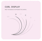 ANNAFRIS W Shape 6D Volume Eyelash Extension False Mink Soft Natural Premade Fans Lash 6D W Shaped Easy Faning Eyelashes