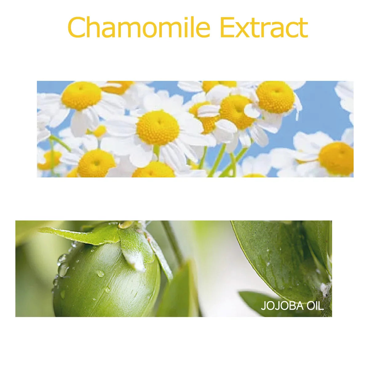 30ml/60ml/100ml chamomile essential oil is suitable for facial hydration, moisturizing, hair care, skin care, and perfume making