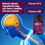 Advanced Neurological Support - 300 Mg Stabilized R-Lipoic Acid, Vitamin B Complex, Nervous System Health, Focus, Antioxidants