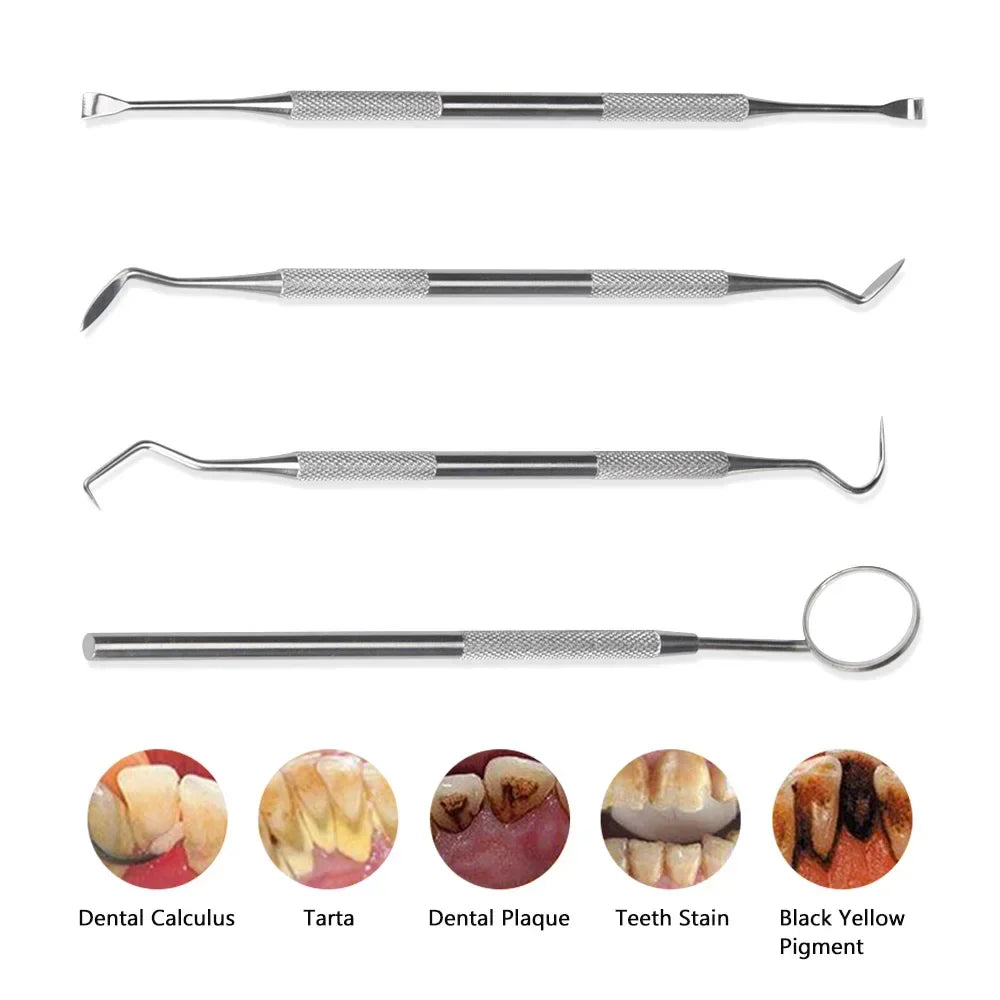 Dental Cleaning Kit Stainless Steel Tartar Scaler Teeth Whitening Tools Oral Care Portable Dentist Set with Endoscopic Cleaner