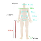 Cartoon Style Clothes Suit for 1/6 Bjd Doll Accesssories for 30cm Baby Doll Dress Up Toys for Children