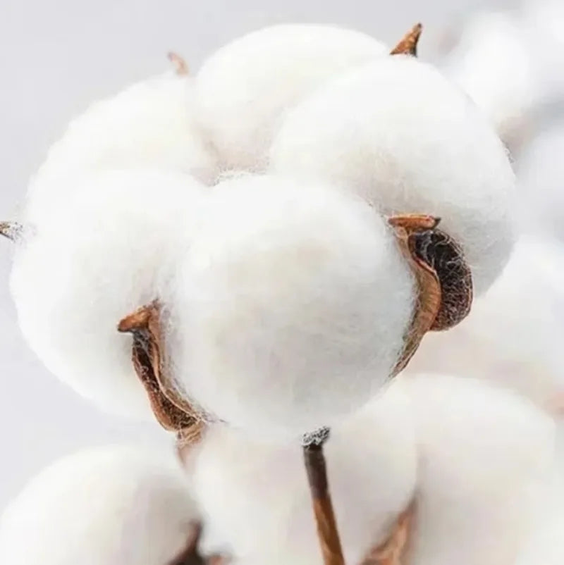 Affliction Summer Y2K Vintage Graphic T Shirts Mens Women Grunge Wings Oversized T Shirt Harajuku Street Couple Short Sleeves