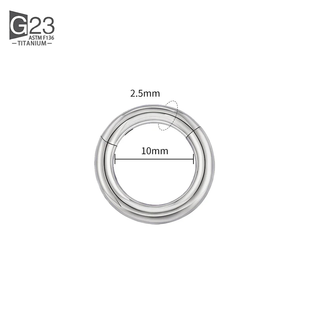 ASTM F136 Titanium PIERC Hinged Segment Hoop Earrings Large size Nose Rings 10G-6G 2.5mm-4mm Seamless Labret Lip Body Piercing