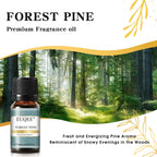 EUQEE 10ML Men's Fragrance Oil For Car Diffuser,Making Candle Leather Forest Pine Coffee Cake Cedarwood Bay Rum 1pcs/3pcs/6pcs