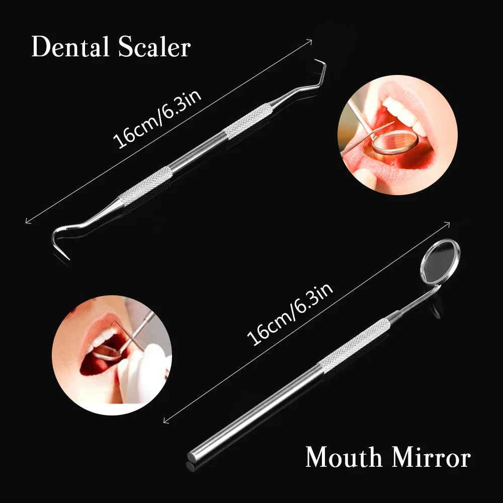 Dental Cleaning Kit Stainless Steel Tartar Scaler Teeth Whitening Tools Oral Care Portable Dentist Set with Endoscopic Cleaner