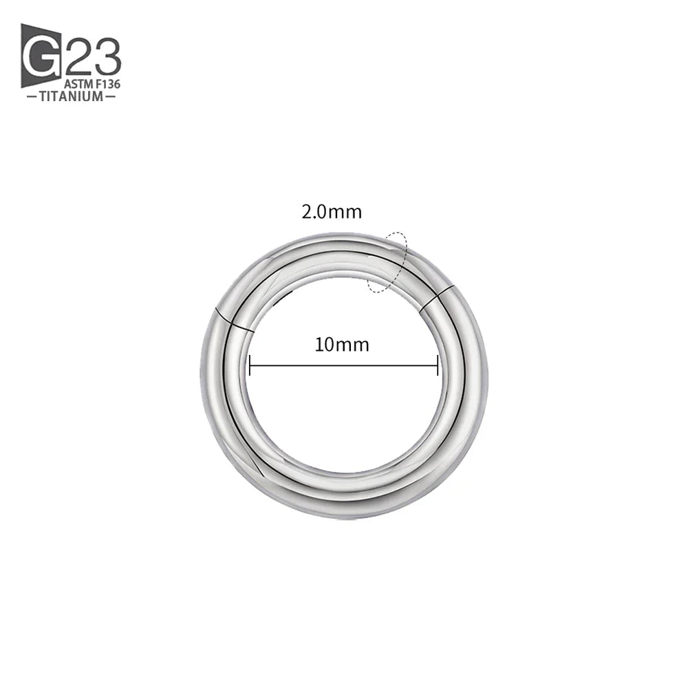 ASTM F136 Titanium PIERC Hinged Segment Hoop Earrings Large size Nose Rings 10G-6G 2.5mm-4mm Seamless Labret Lip Body Piercing