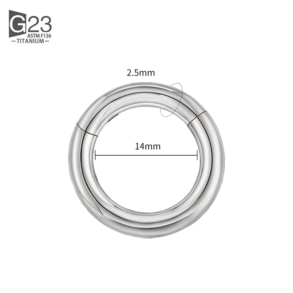 ASTM F136 Titanium PIERC Hinged Segment Hoop Earrings Large size Nose Rings 10G-6G 2.5mm-4mm Seamless Labret Lip Body Piercing
