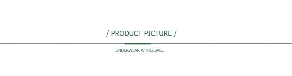 5 PCS/Set Mesh Briefs M-2XL Lace Panties Sexy Transparent Underwear Low Rise Panties Girls Intimates Lingeri