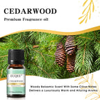 EUQEE 10ML Men's Fragrance Oil For Car Diffuser,Making Candle Leather Forest Pine Coffee Cake Cedarwood Bay Rum 1pcs/3pcs/6pcs