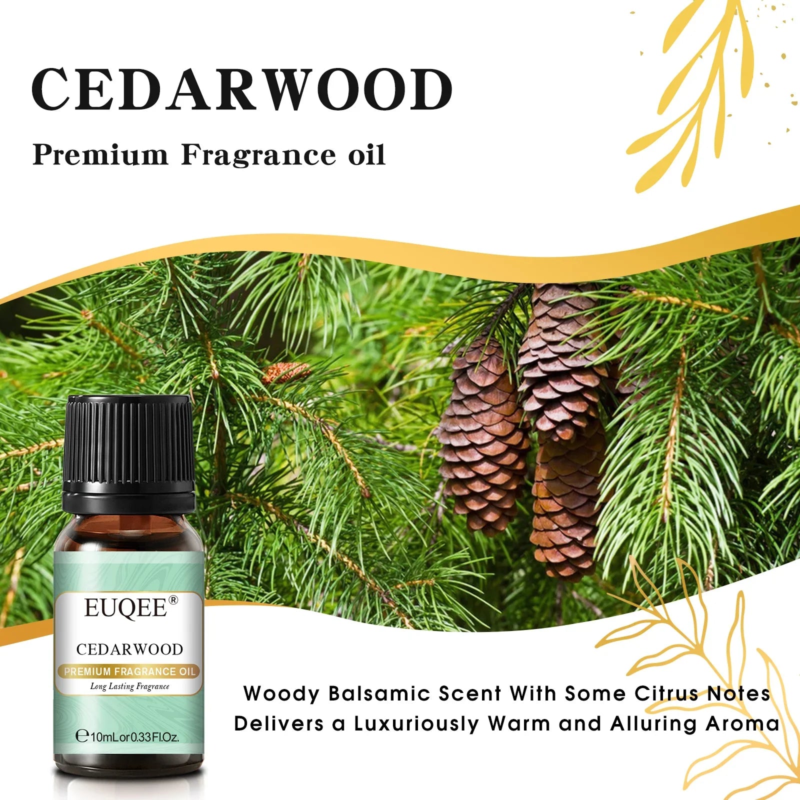 EUQEE 10ML Men's Fragrance Oil For Car Diffuser,Making Candle Leather Forest Pine Coffee Cake Cedarwood Bay Rum 1pcs/3pcs/6pcs