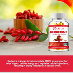 Berberine Extract 1000 Mg - Supports Gastrointestinal and Overall Health with Antioxidant Benefits Supplement