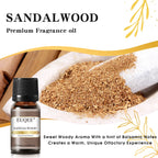 EUQEE 10ML Men's Fragrance Oil For Car Diffuser,Making Candle Leather Forest Pine Coffee Cake Cedarwood Bay Rum 1pcs/3pcs/6pcs