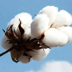 25-26 Social Media Killed Romance Summer T Shirt Men Women Aesthetic Valentine's Print T-Shirt Couple Cotton Tee Tops Clothing