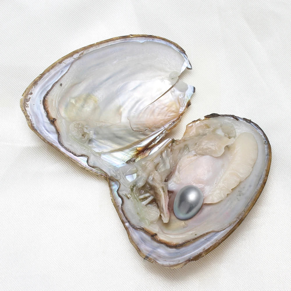 7-8MM AA+ Single Pearl Vacuum-pack Oyster Beautiful & Interesting Nature Gifts Cultivate High-quality Pearls 50pcs/Lot