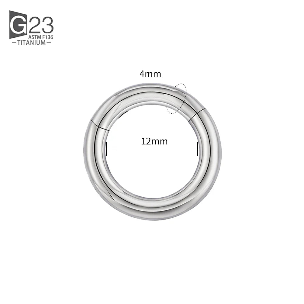 ASTM F136 Titanium PIERC Hinged Segment Hoop Earrings Large size Nose Rings 10G-6G 2.5mm-4mm Seamless Labret Lip Body Piercing