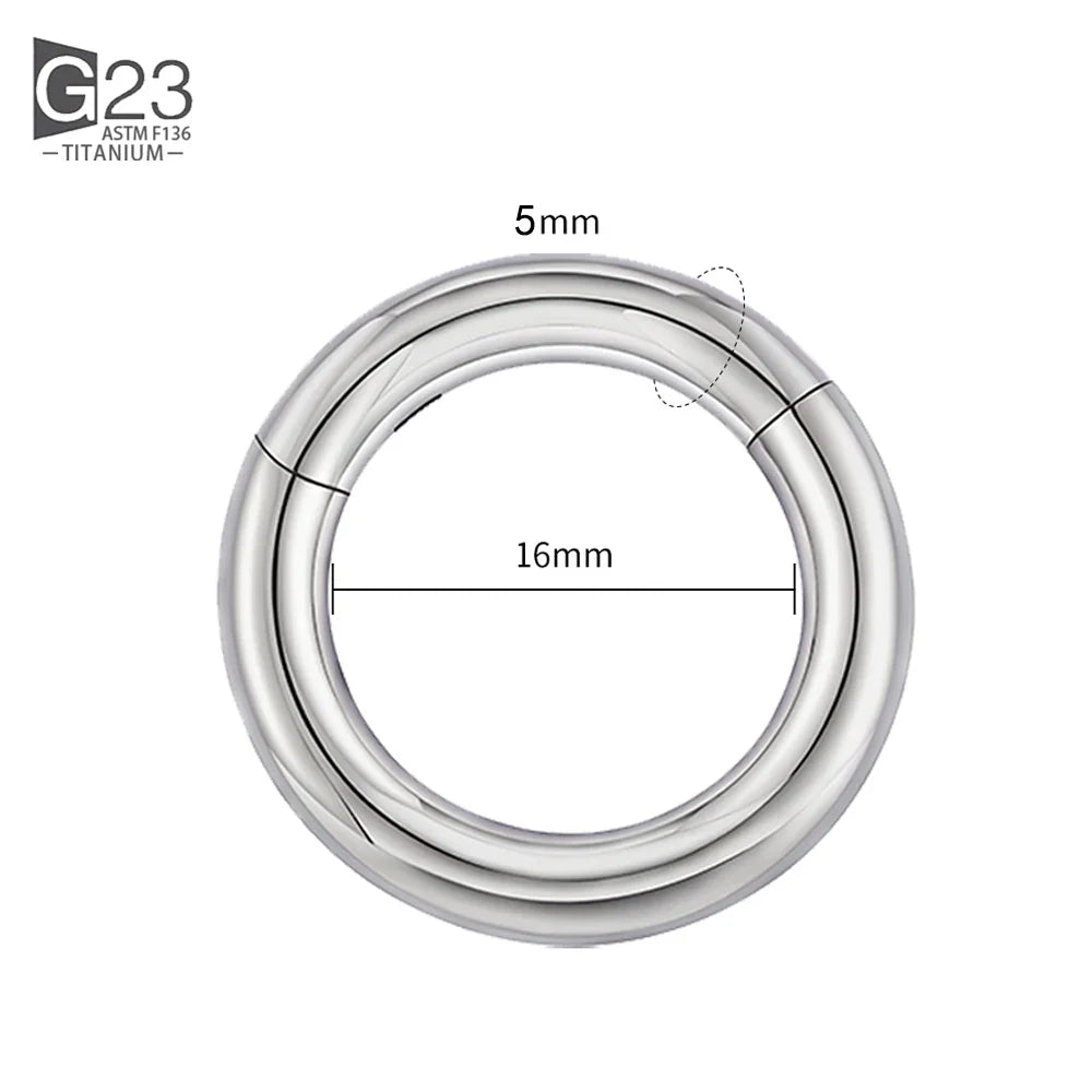 ASTM F136 Titanium PIERC Hinged Segment Hoop Earrings Large size Nose Rings 10G-6G 2.5mm-4mm Seamless Labret Lip Body Piercing