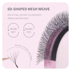ANNAFRIS W Shape 6D Volume Eyelash Extension False Mink Soft Natural Premade Fans Lash 6D W Shaped Easy Faning Eyelashes