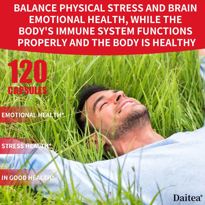 Adapto B Complex - High Potency with 8 B Vitamins, Rhodiola Rosea, and Hawthorn Berry - Supports Mental Energy, Cognition, Mood