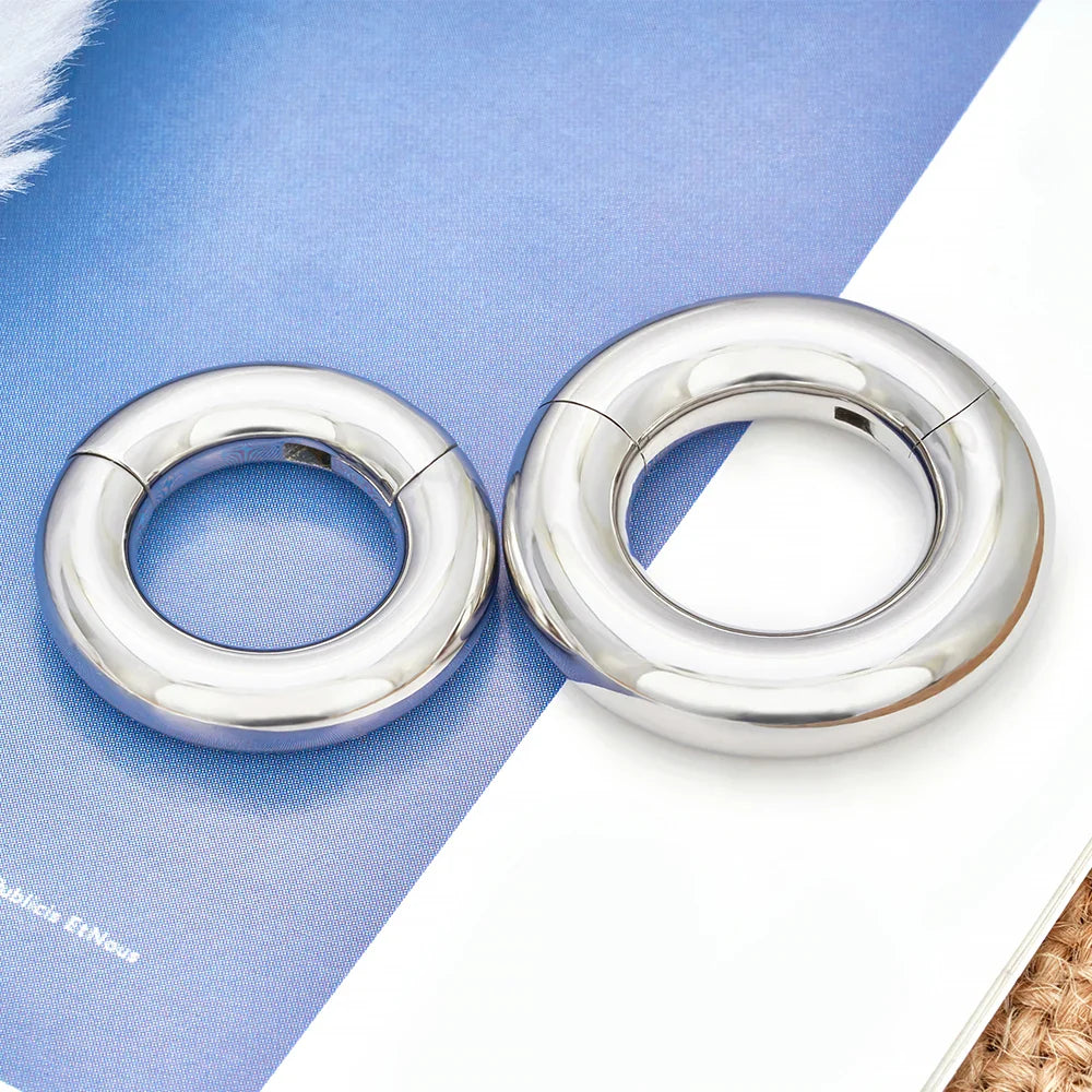 ASTM F136 Titanium PIERC Hinged Segment Hoop Earrings Large size Nose Rings 10G-6G 2.5mm-4mm Seamless Labret Lip Body Piercing