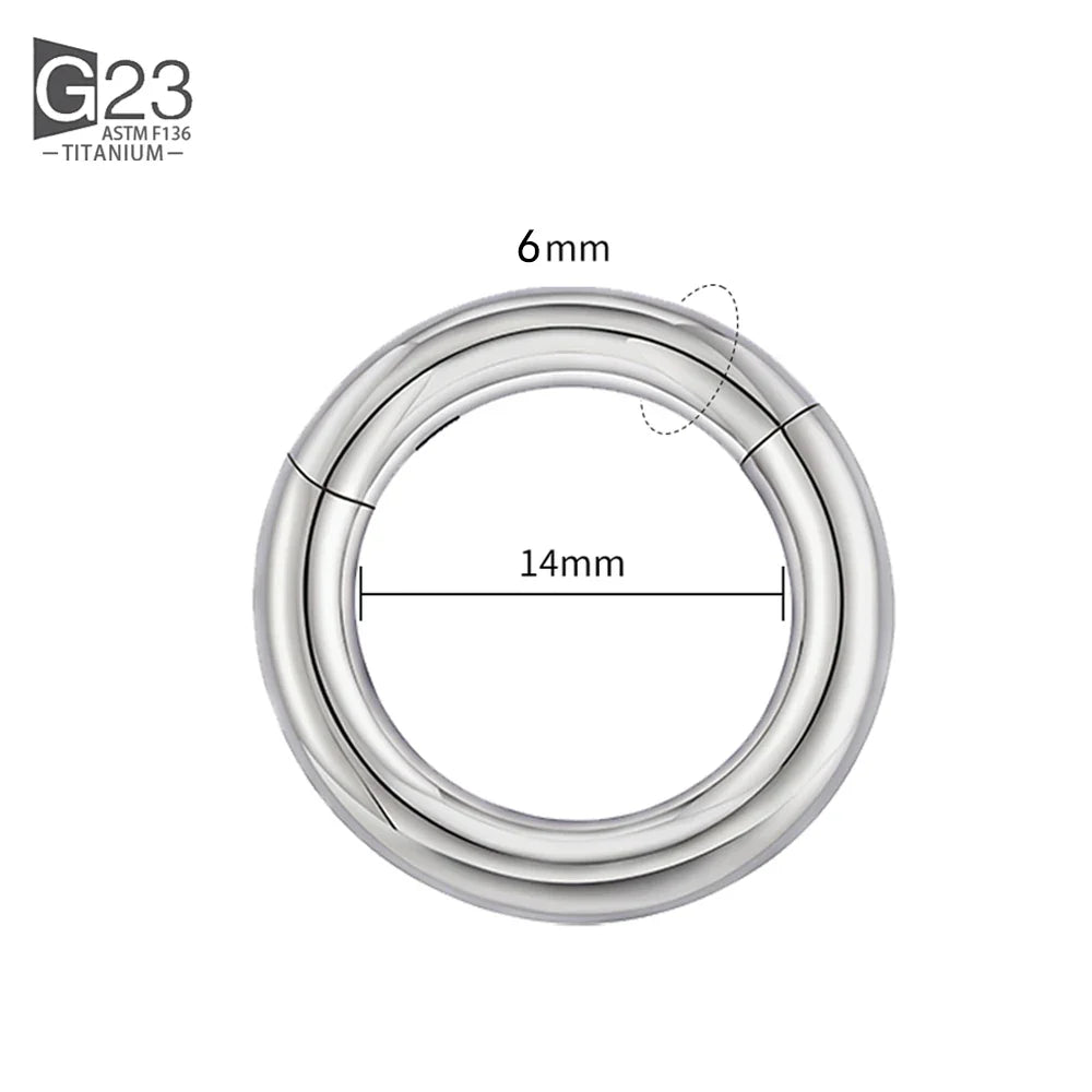 ASTM F136 Titanium PIERC Hinged Segment Hoop Earrings Large size Nose Rings 10G-6G 2.5mm-4mm Seamless Labret Lip Body Piercing