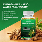Ashwagandha Capsules - Boost Energy, Improve Mood, Relax The Body and Mind, Improve Sleep Quality, and Enhance Physical Strength