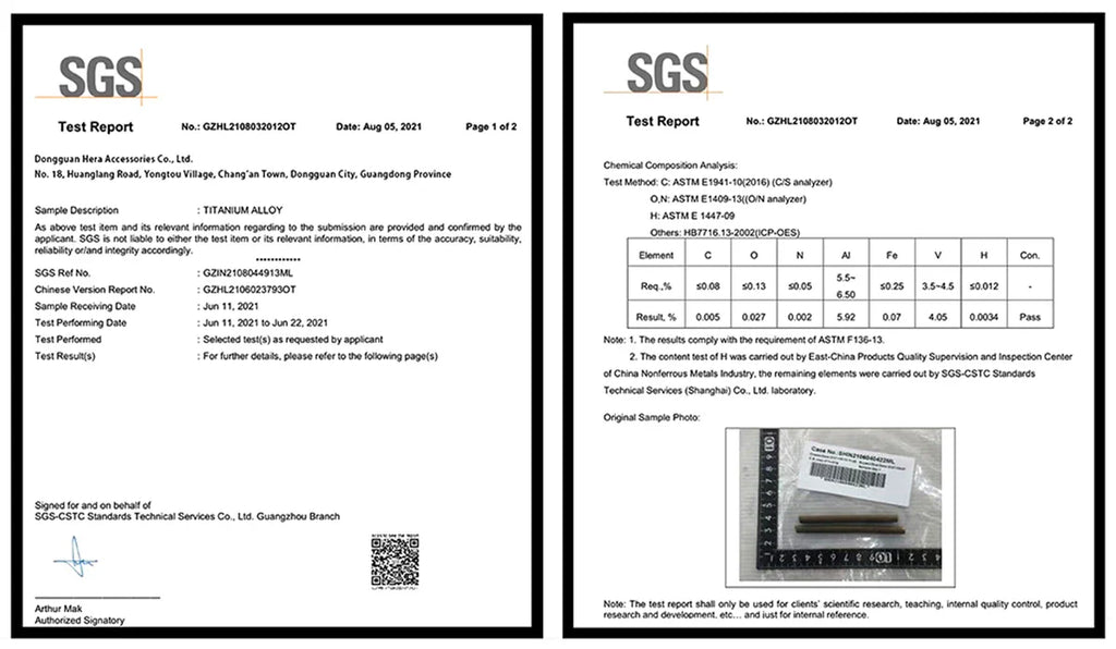ASTM F136 Titanium PIERC Hinged Segment Hoop Earrings Large size Nose Rings 10G-6G 2.5mm-4mm Seamless Labret Lip Body Piercing