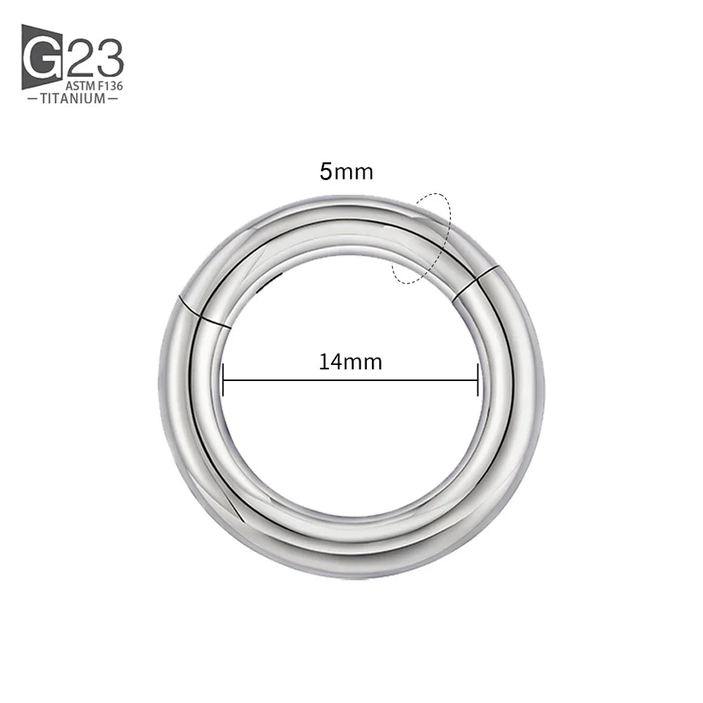 ASTM F136 Titanium PIERC Hinged Segment Hoop Earrings Large size Nose Rings 10G-6G 2.5mm-4mm Seamless Labret Lip Body Piercing