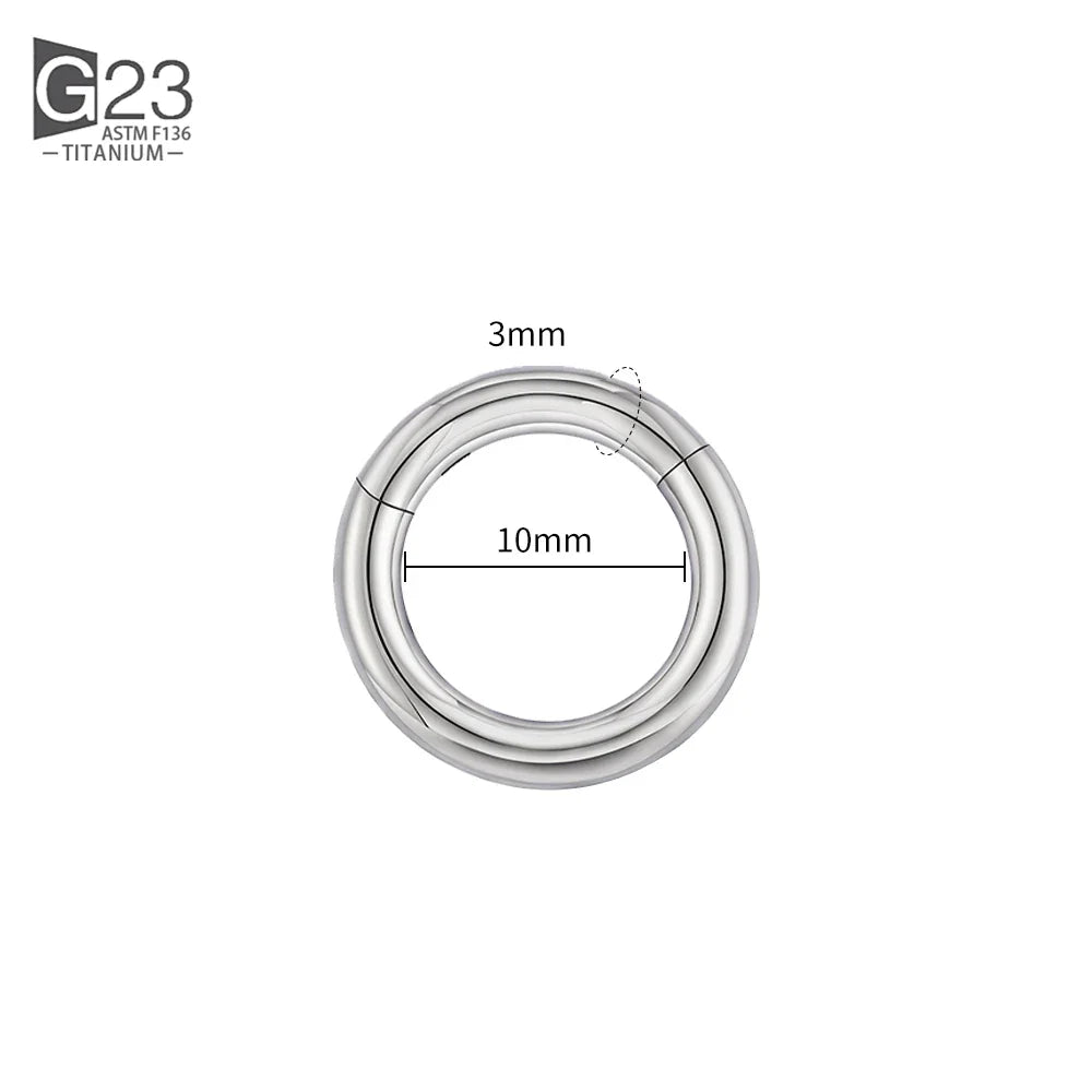 ASTM F136 Titanium PIERC Hinged Segment Hoop Earrings Large size Nose Rings 10G-6G 2.5mm-4mm Seamless Labret Lip Body Piercing