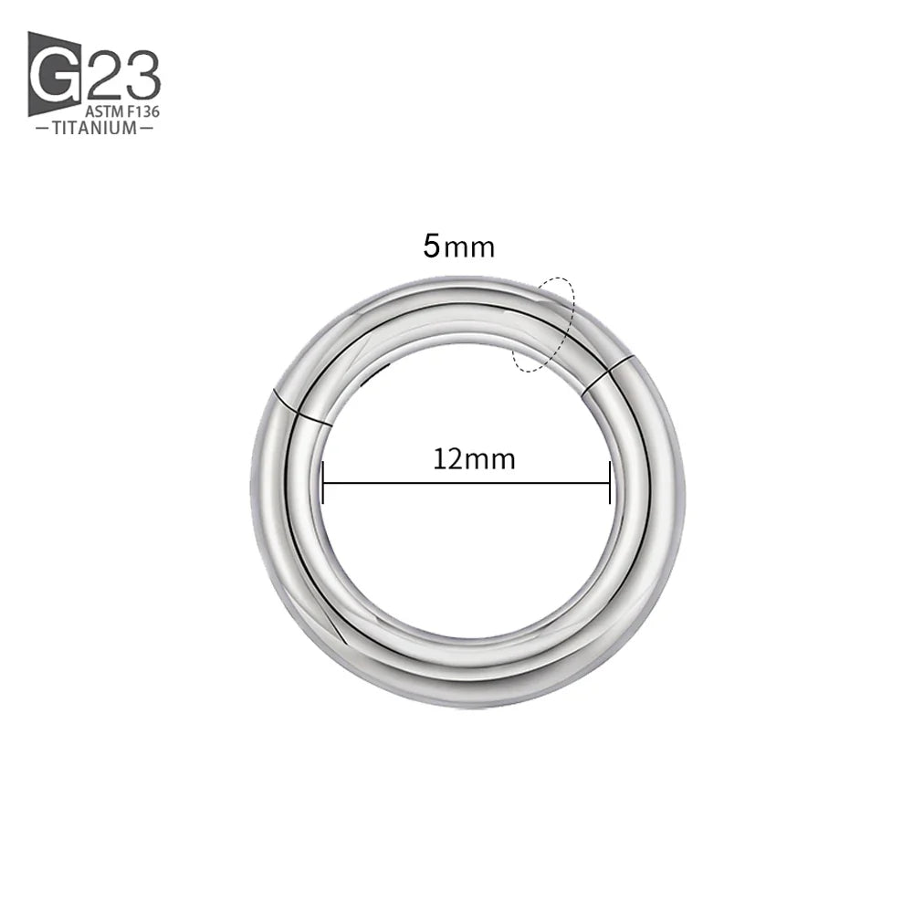 ASTM F136 Titanium PIERC Hinged Segment Hoop Earrings Large size Nose Rings 10G-6G 2.5mm-4mm Seamless Labret Lip Body Piercing