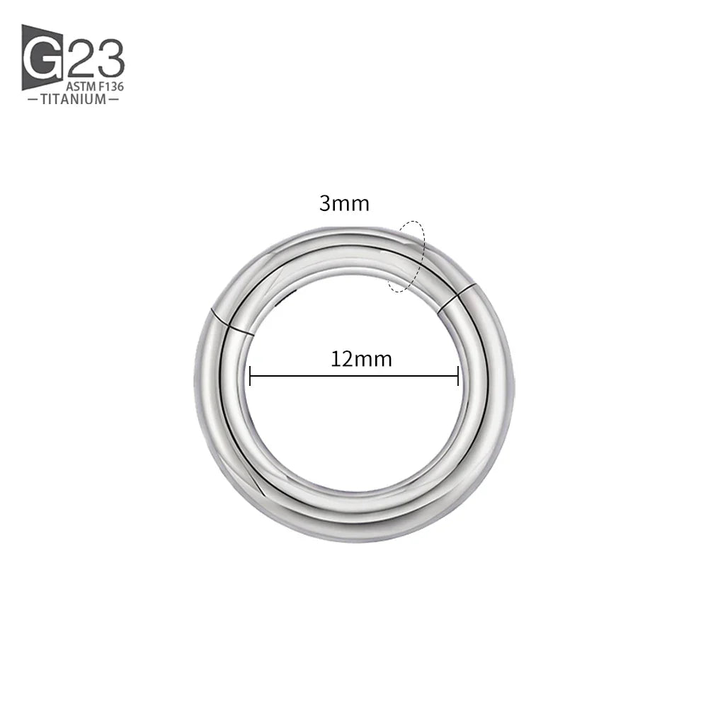ASTM F136 Titanium PIERC Hinged Segment Hoop Earrings Large size Nose Rings 10G-6G 2.5mm-4mm Seamless Labret Lip Body Piercing