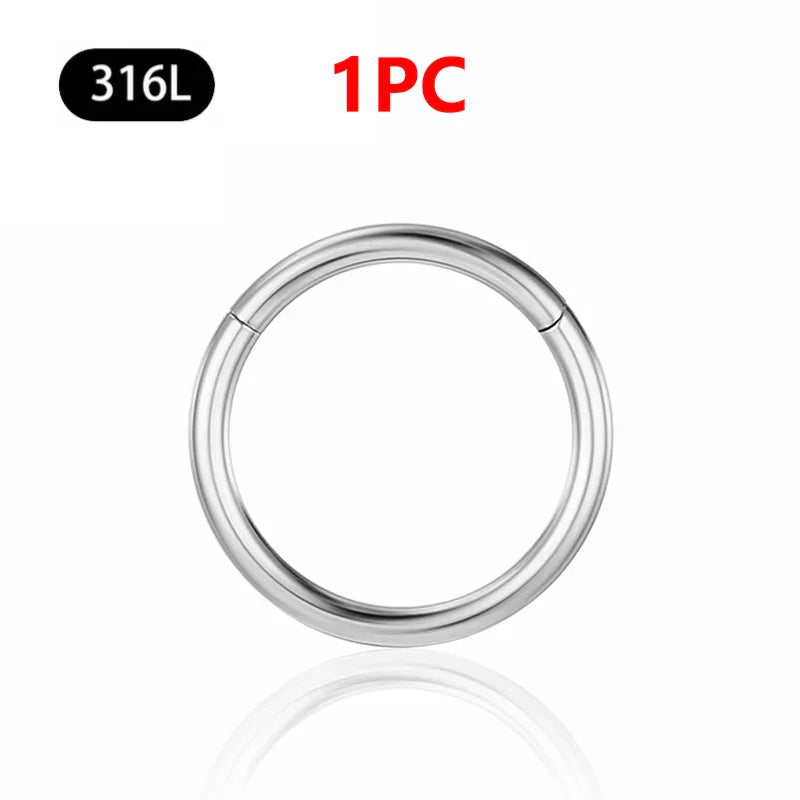 1/10Pc Stainless Steel Nose Ring CZ 16G Hinged Septum Clicker Segment Ear Tragus Cartilage Daith Lip Nose Body Piercing Jewelry