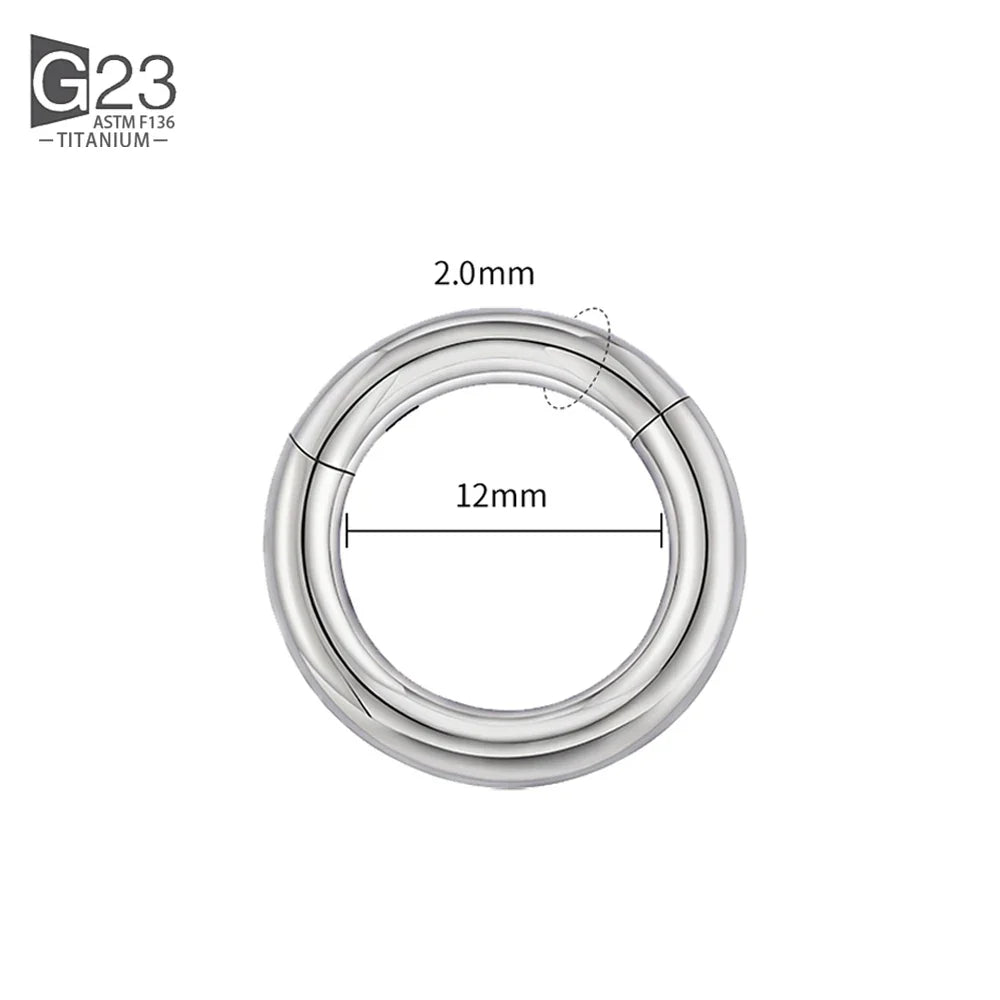 ASTM F136 Titanium PIERC Hinged Segment Hoop Earrings Large size Nose Rings 10G-6G 2.5mm-4mm Seamless Labret Lip Body Piercing
