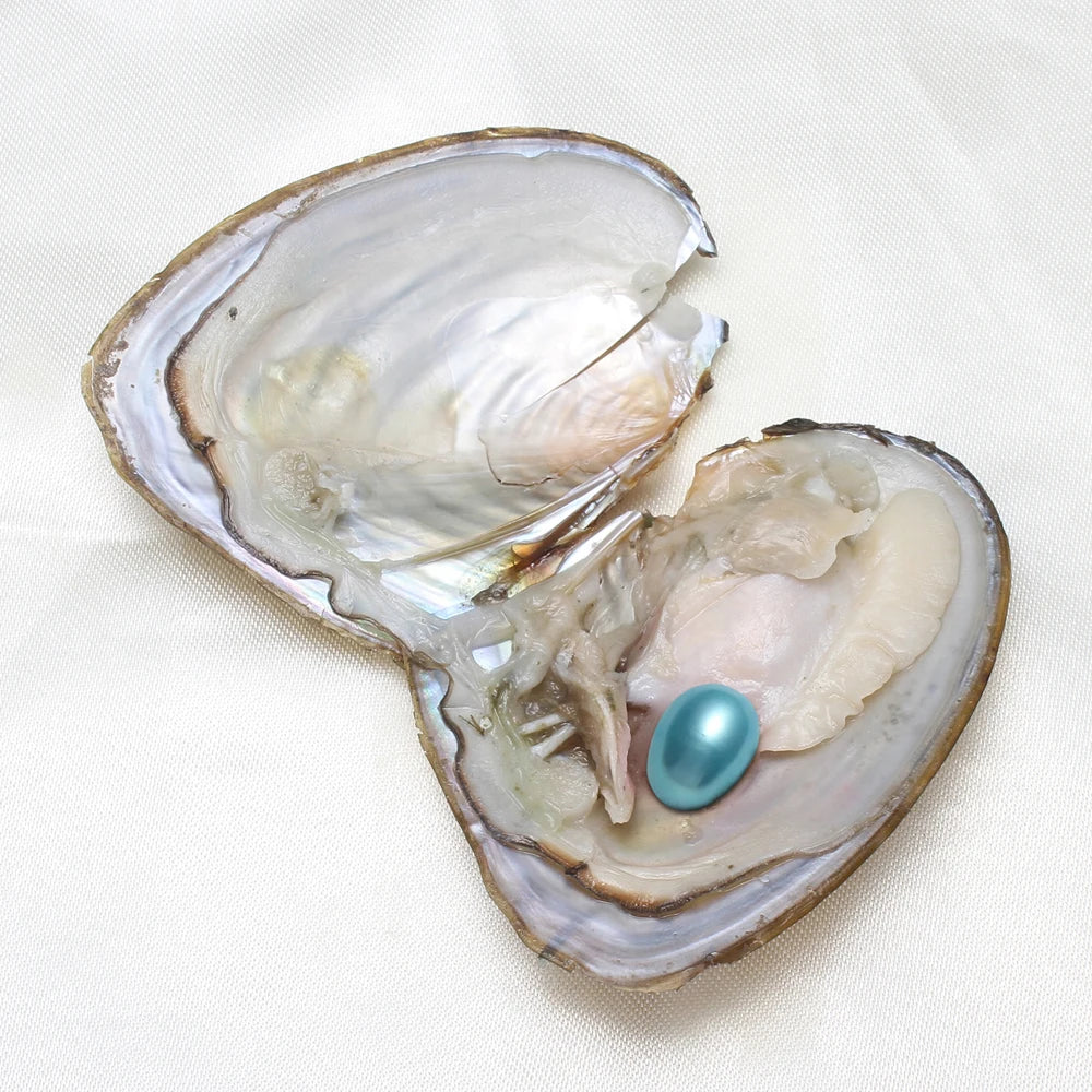 7-8MM AA+ Single Pearl Vacuum-pack Oyster Beautiful & Interesting Nature Gifts Cultivate High-quality Pearls 50pcs/Lot