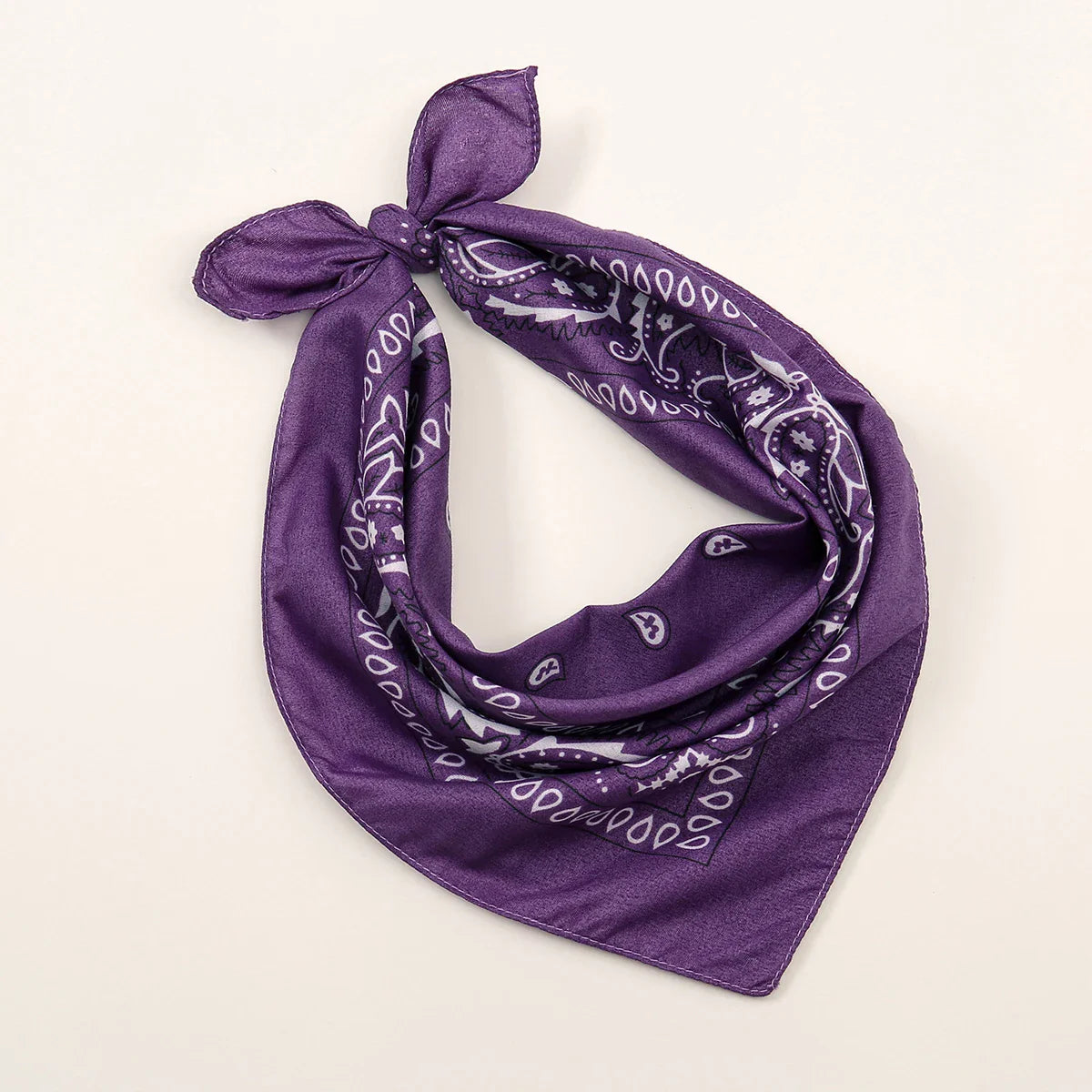 Bohemian Print Bandana Paisley Printed Headbands Hiphop Kerchief Outdoor Unisex Headband Wrist Wraps Face Mask Handkerchief