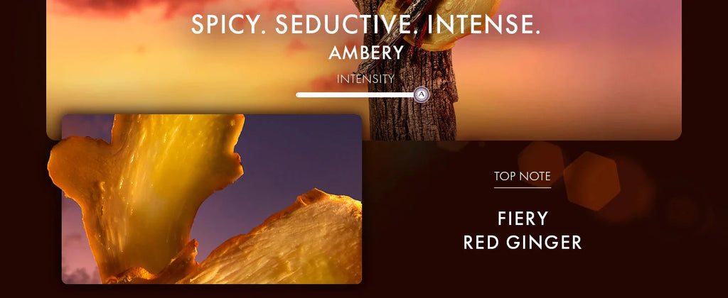 Azzaro Parfum - Intense Mens Cologne - Spicy & Seductive Fragrance for Date Night - Irresistible Luxury Perfumes for Men