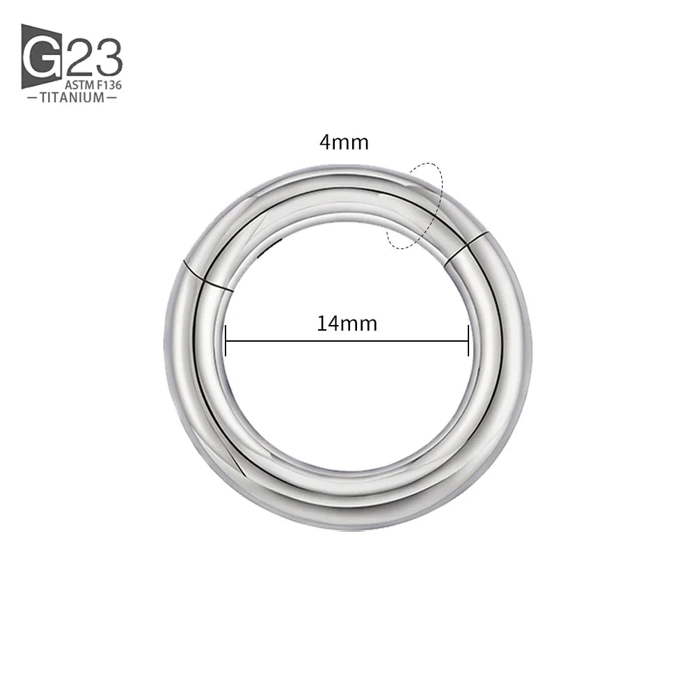 ASTM F136 Titanium PIERC Hinged Segment Hoop Earrings Large size Nose Rings 10G-6G 2.5mm-4mm Seamless Labret Lip Body Piercing